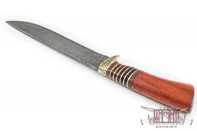 Рысь-2