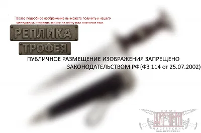Кинжал Чести SS 1936 г.